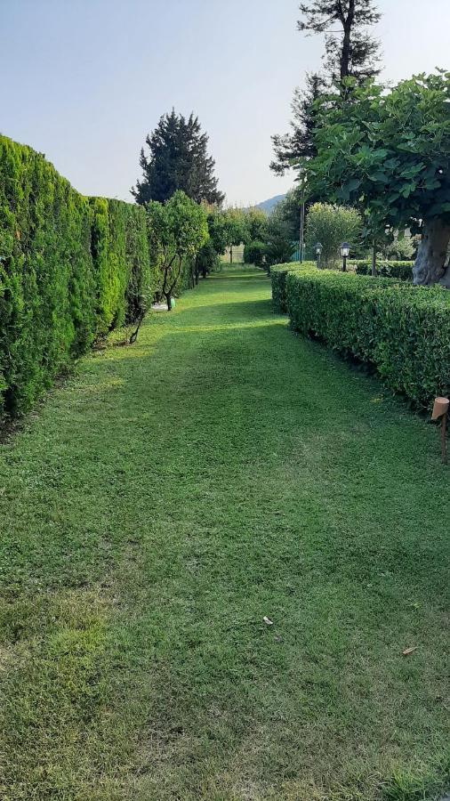 Bed and Breakfast Casale Battaglini Castelnuovo Cilento Экстерьер фото